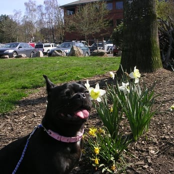 Sellwood Riverfront Park - Ample parking, friendly dog park and beautiful flowers - Parks Near Me - Portland, Oregon