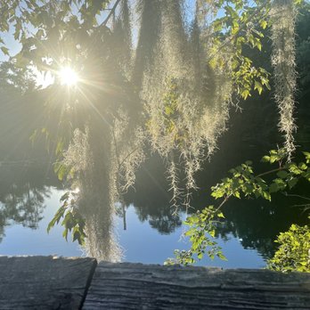Santee State Park - Creek view - Parks Near Me - Santee, South Carolina
