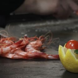 restaurant Mestral