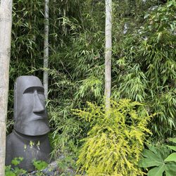 Bamboo Craftsman Company - Outdoor garden nursery