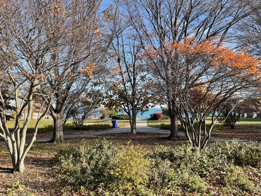 Northerly Island Park by null
