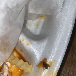 a half eaten chicken sandwich in a styrofoam container a half eaten chicken sandwich in a styrofoam container
