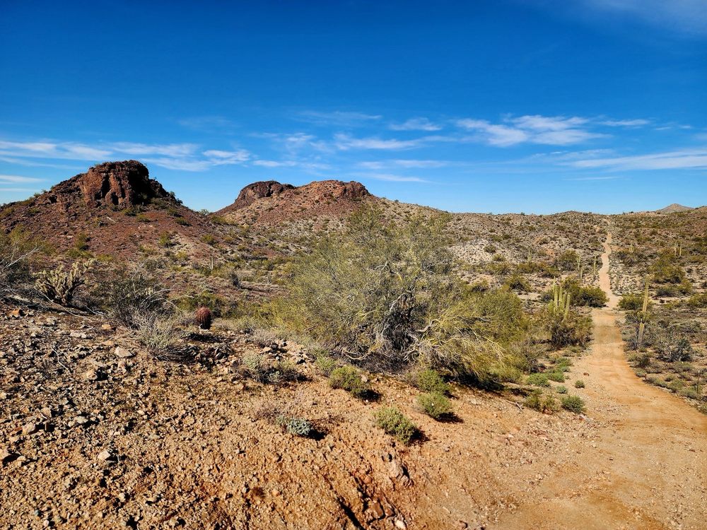 Size Matters ATV, UTV Rentals & Tours Logo