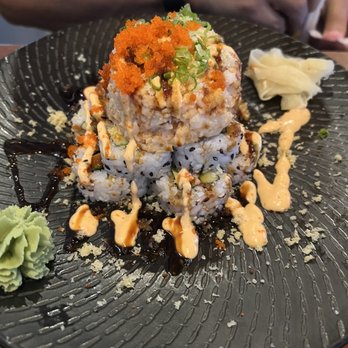 Fins At Sharky's - Sushi Roll - Steakhouses Near Me - Venice, Florida Fins At Sharky's - Sushi Roll - Steakhouses Near Me - Venice, Florida