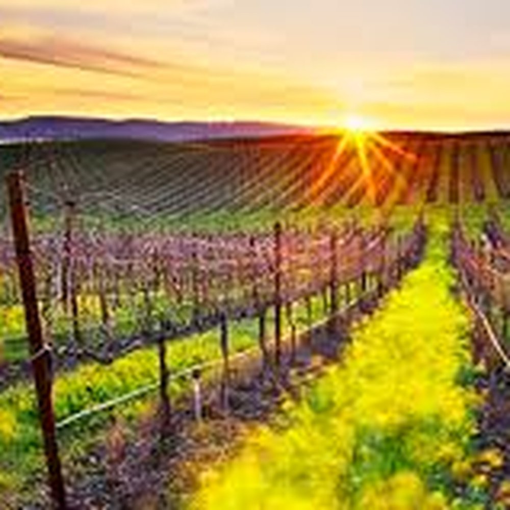 THE BEST 10 COURT REPORTERS in SOLANO COUNTY, CA - Updated 2026 - Hours -  Yelp