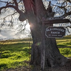 Kalyra Winery
