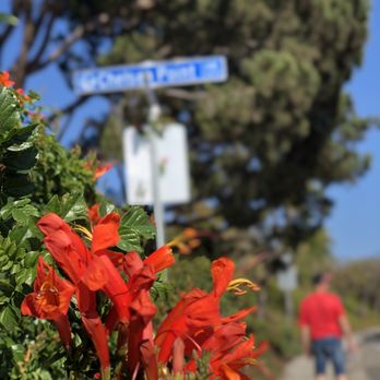 Dana Strand Beach - The route to beach - Beaches Near Me - Dana Point, California