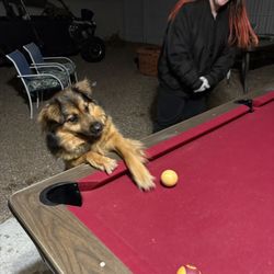 In the Pocket Billiard