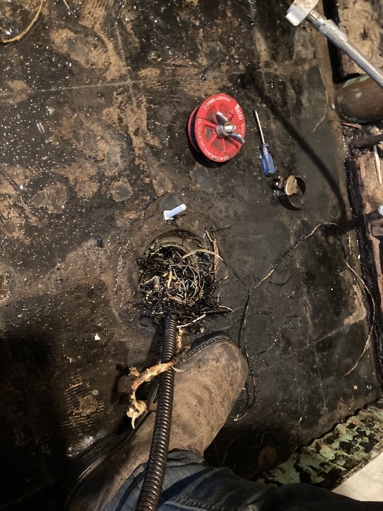 Slide of Drain Monkeys