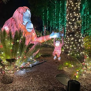 LA Zoo Lights - Display - Zoos Near Me - Los Angeles, California LA Zoo Lights - Display - Zoos Near Me - Los Angeles, California
