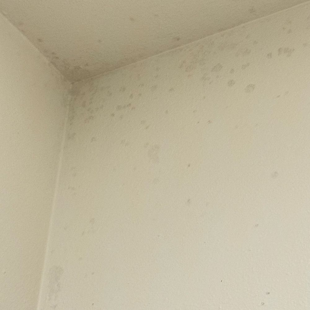 Jupiter NEXT - Black Mold!!! - Hotels Near Me - Portland, Oregon Jupiter NEXT - Black Mold!!! - Hotels Near Me - Portland, Oregon