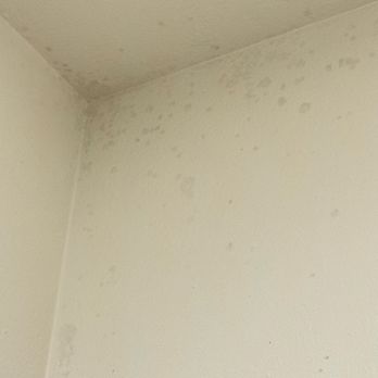 Jupiter NEXT - Black Mold!!! - Hotels Near Me - Portland, Oregon