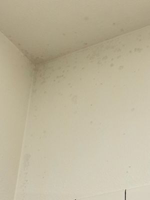 Jupiter NEXT by null