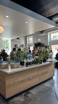Lost Sock Roasters by null