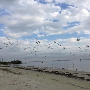Seascapes Beach Club - Not a bad view - Seafood Near Me - Tampa, Florida