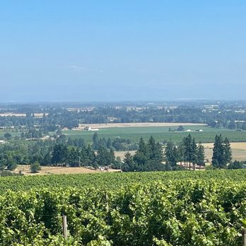 Durant Vineyards Tasting Room - Awesome views - Wineries Near Me - Dayton, Oregon