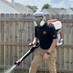 Carolina Wildlife & Pest