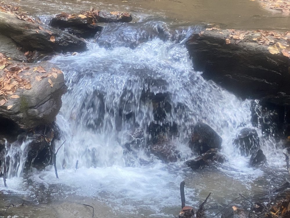 BUCK MTN POA Updated September 2024 10 Photos 230 Buck Mountain