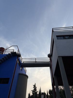 Museo Casa Estudio Diego Rivera y Frida Kahlo by null