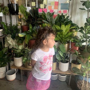 Plant Garage - Home Decor Near Me - Denver, Colorado