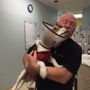 Photo of Reed Animal Hospital