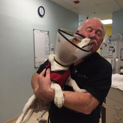 Reed Animal Hospital