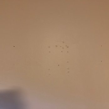 DMV Express Services - Unpatched holes just painted over - Pressure Washers Near Me DMV Express Services - Unpatched holes just painted over - Pressure Washers Near Me
