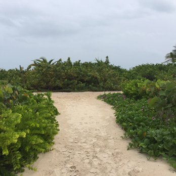 Secrets Playa Mujeres - Resorts Near Me - Cancún, ROO Secrets Playa Mujeres - Resorts Near Me - Cancún, ROO