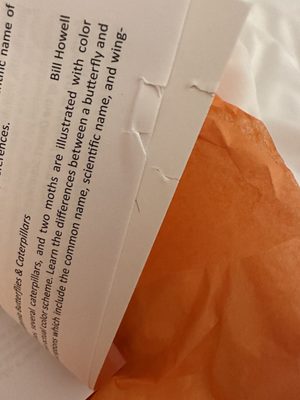 Destination PSP by null