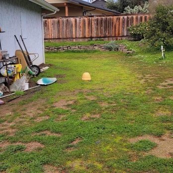 Brookside Landscape Design - Before during the rains water ran right down to the driveway and the yard was covered in weeds. - Landscaping Near Me