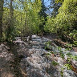 Neff's Canyon