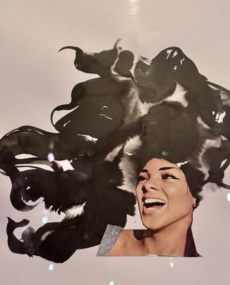 Kimpton Hotel Eventi by null