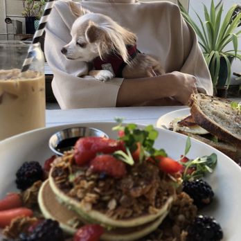 Blueys Kitchen - Squash pancake. Gentle sweetness and lots of berries. - Cafes Near Me - Santa Monica, California Blueys Kitchen - Squash pancake. Gentle sweetness and lots of berries. - Cafes Near Me - Santa Monica, California