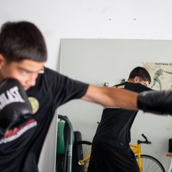 Frutos Boxing