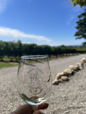 Bowers Harbor Vineyards by null