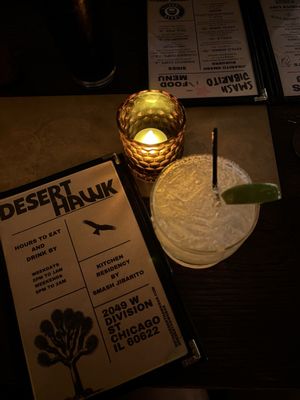 Desert Hawk by null