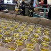 Bella Nonnas Olive Oil & Vinegar gift card
