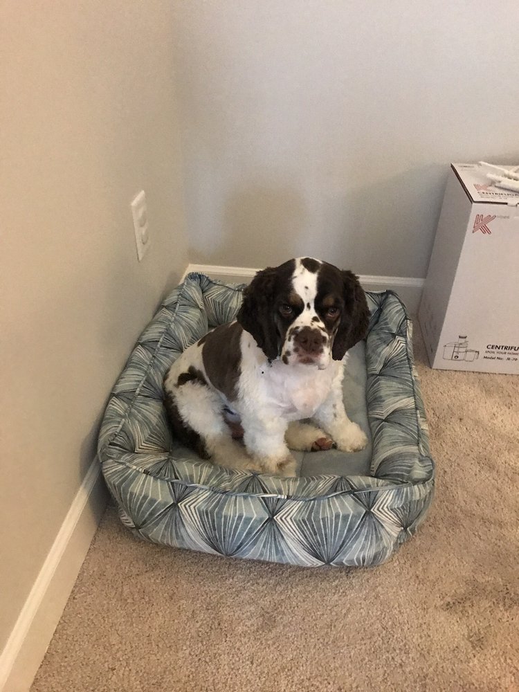 WAGS TO RICHES Updated June 2024 12 Reviews 2916 N Main St