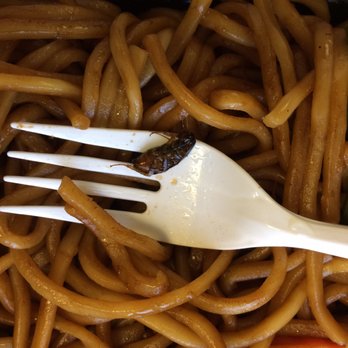 Big Chopsticks - Cockroach in the chow mein. - Chinese Near Me - Anaheim, California Big Chopsticks - Cockroach in the chow mein. - Chinese Near Me - Anaheim, California