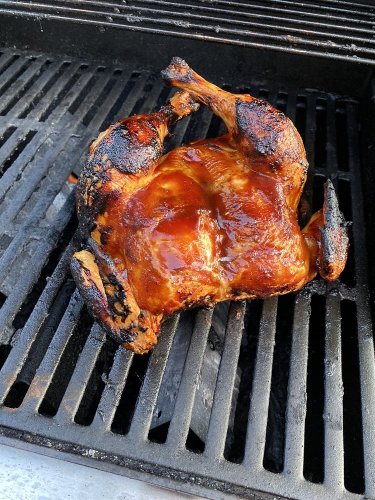 RAINBOW TURKEY FARM Updated September 2024 39 Photos 199