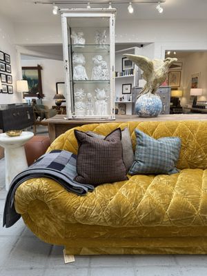 Mountain Dandy by null