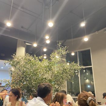 Sul & Beans - Indoor ( tree and lights ) - Desserts Near Me - Cupertino, California Sul & Beans - Indoor ( tree and lights ) - Desserts Near Me - Cupertino, California