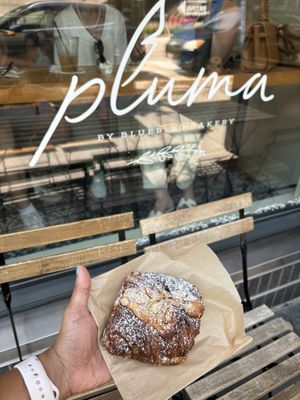 Pluma by Bluebird Bakery by null