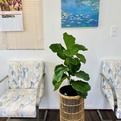 Light Point Acupuncture