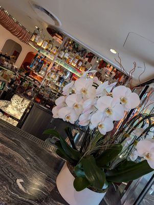 Sofia Italian Restaurant Miami by null