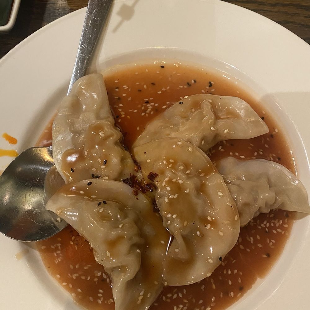 Wild Ginger - Szechuan Dumpling - Chinese Near Me - Rockville Centre, New York