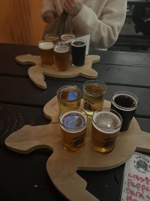 Tortugo Brewing Company by null