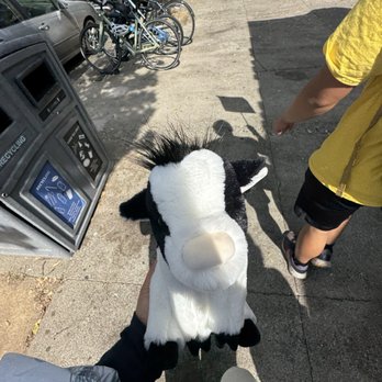 Avid & Co - cow - A person is holding a plush horse toy with a black and white color pattern on a sidewalk in an urban area. The background includes bicycles parked near a recycling bin, parked cars, and a person wearing a yellow shirt and black shorts walking away. The scene is outdoors with shadows cast on the ground, indicating sunny weather. - Toy Stores Near Me - Davis, California