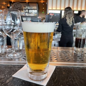 Earls Kitchen + Bar - Wynwood La Rubia Blonde, 18oz - it's huge - New American Near Me - Miami, Florida