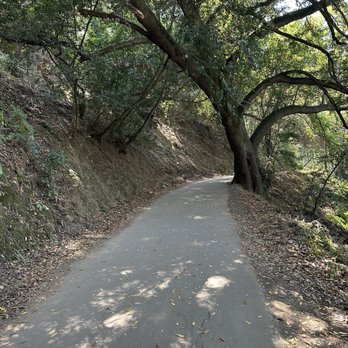 Lake Chabot Regional Park - Paved path - Parks Near Me - Castro Valley, California Lake Chabot Regional Park - Paved path - Parks Near Me - Castro Valley, California